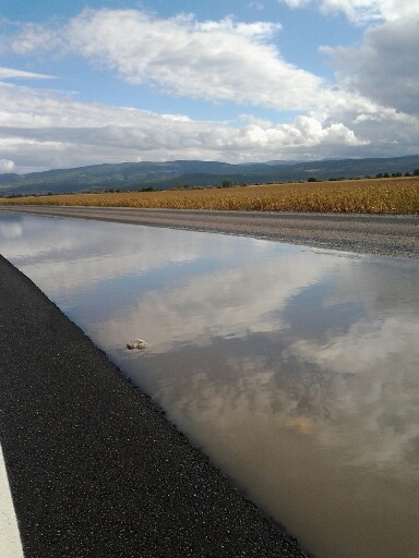 Turquie - Bergama paysage apr�s orage